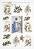 ��������� ������ ITD Collection - ������ - A4 - 