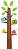 Ръстомер стикер Mycey дърво - От 55 до 150 cm - 