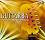 Guitarra: 40 Spanish Guitar Lounge Tunes - 2 CD - 