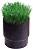    Rain Bird Sod Cup -     8005 - 