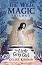 The Wild Magic - book 2: The Little Grey Girl - Celine Kiernan - 