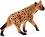 ������� �� ����� - Mojo - �� ������� Wildlife - ������