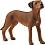 Фигурка на куче Родезийски риджбек Schleich - От серията Животни от фермата - 