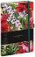 Castelli:     -   13 x 21 cm - 