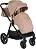   2  1 Cangaroo Celebrity -    ,     - 