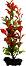 ���������� �������� �� �������� Tetra Red Ludwigia - 15 � 23 cm - �������