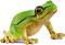������ �� ���������� �������� ���� - Schleich - �� ������� Wild Life - ������