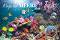 ������ �������� - Magic of the Seas 2026 - ��������