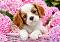 Кученце в розови цветя - Пъзел от 500 части - 