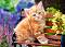 Рижаво котенце - Пъзел от 180 части от колекцията "Premium" - пъзел