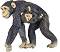 Фигурка на маймуна Шимпанзе с бебе Papo - От серията Диви животни - 