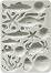  3D  Stamperia -  - 14.8 x 21 cm   Silent sea - 