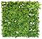     My Garden Desert Oasis CCGA107 - 100 x 100 cm - 