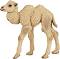 Фигурка на бебе двугърба камила Papo - От серията Диви животни - 