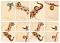 Декупажна хартия Calambour - Цветя и декорации 17 - От серията Digital Collection Mulberry - 