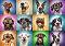 Портрети на кучета - Пъзел от 1000 части от колекцията "Premium quality" - 