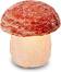 ����� �� ���������� ��� ��� ���� Wagner Life Design - ������������� ����� 3.3 kg �� ������� Himalaya Salt Dreams - 