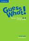 Guess What! - ниво 3 и 4: Книга с материали за учителя по английски език + тест CD-ROM - Camilla Mayhew - 