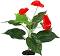���������� �������� �� �������� REPTI PLANET Anthurium - 40 cm - �������