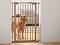    Savic Dog Barrier Door - 