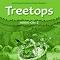 Treetops - ниво 2: 2 CD с аудиоматериали по английски език - Sarah Howell, Lisa Kester-Dodgson - 