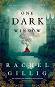 One Dark Window - Rachel Gillig - 