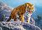 Тигър в планината - Пъзел от 180 части от колекцията "Premium" - 