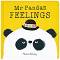 Mr Panda's Feelings - Steve Antony -  