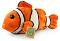     - Rappa -   25 cm - 