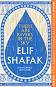 There are Rivers in the Sky - Elif Shafak - 