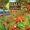 Sima, the tortoise - Ива Лаловска - 