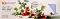 ��������� ��� ������� ������� Elena Bazanova - 21 ����� �� ������� White Nights - 