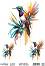 ���������� ��������� �� ������� CADENCE - ������� - 25 x 35 cm �� ������� Birdsong - 