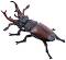 Фигурка на бръмбар рогач Papo - От серията Животните в гората - 