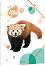    Ars Una Red Panda -   A4   Cute Animals - 