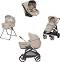   4  1 Inglesina System Quattro Aptica Darwin Infant -   ,   ,   ,        - 