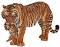 Фигурка на тигрица с малко тигърче Papo - От серията Диви животни - 