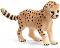     Schleich -       - 