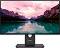 ������� Lenovo ThinkVision T24-40 - 23.8", IPS, 100 Hz, 16:9, 1920 x 1080, 4 ms, HDMI, DisplayPort, USB-C, VGA - 
