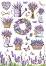   Stamperia -  - A4   Lavender - 