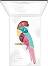PUPA Milano Parrot Eyeshadow Palette 002 Bahia -   7     - 