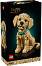 LEGO Icons - ������� ������ �������� - ����������� - �������