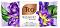 Teo Bouquet Mystic - �������� ����� � ������ �� ����������� ������� �� ������� Teo Bouquet - �����