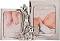    Widdop Bingham Giraffe & Teddies -   Bambino - 