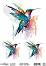 ���������� ��������� �� ������� CADENCE - ������� - 25 x 35 cm �� ������� Birdsong - 