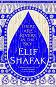 There are Rivers in the Sky - Elif Shafak - 