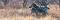 Закуска - Панорамен пъзел от 1000 части на Александър Фон Хумболт - 