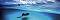 Скат - Панорамен пъзел от 75 части на Александър Фон Хумболт - 