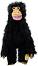 ����� �� ������ �������� � ����� - The Puppet Company - � �������� 60 cm, �� ������� Medium Primates - �����