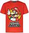   Super Mario - 100% ,     - 